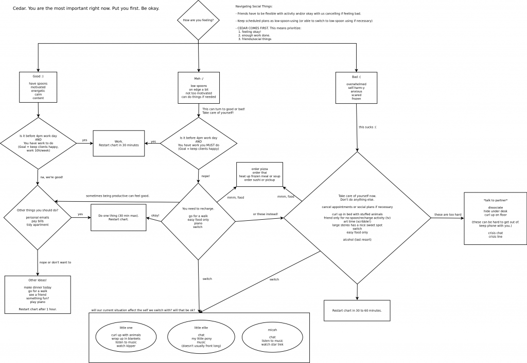 Self Care Flow Chart